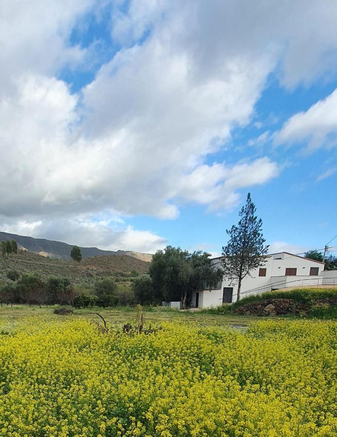 Casa Hoya Grande Βίλα San Bartolomé Εξωτερικό φωτογραφία